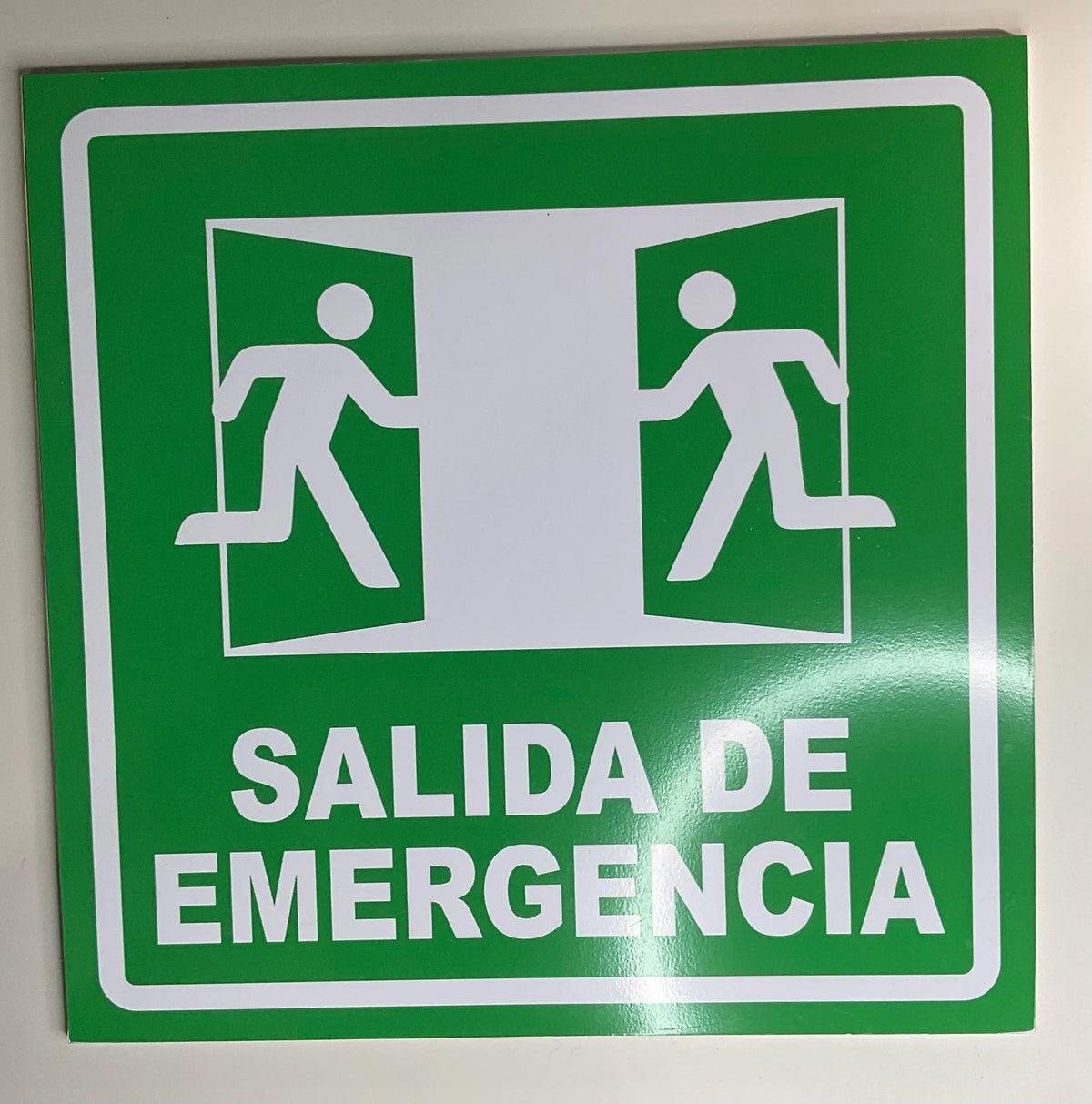 Señalamiento "Salida de Emergencia" | 25 x 25 cm | Estireno Calibre .30